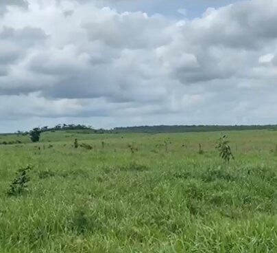 Fazenda à Venda em Grajaú-MA
