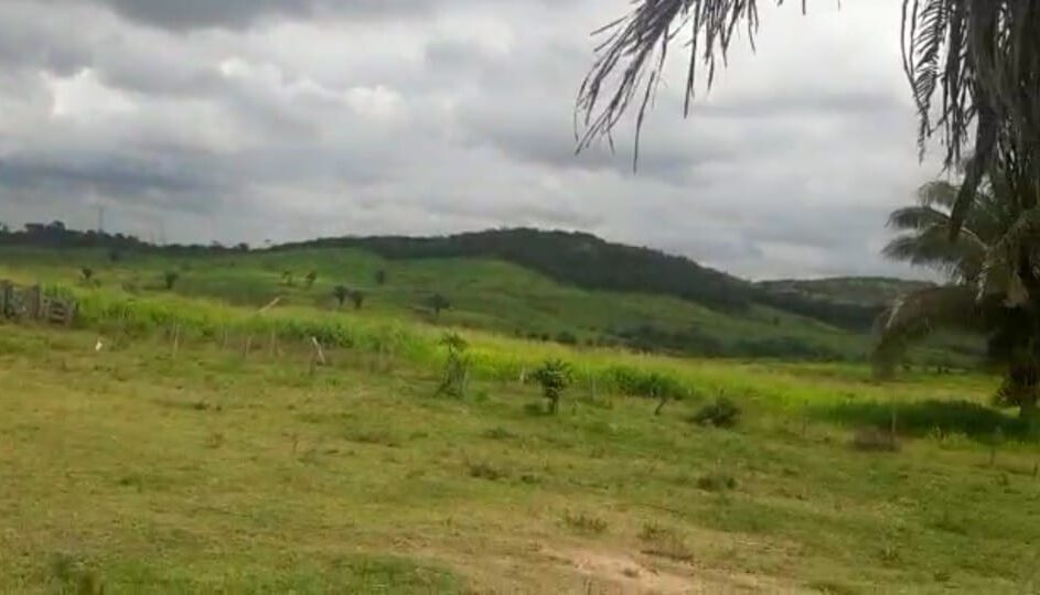 Fazenda em Pacajá no Estado do Pará
