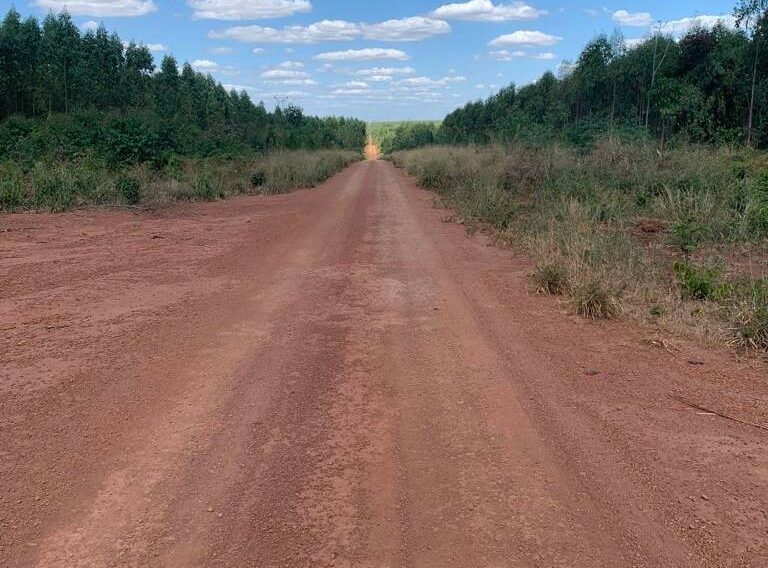 Fazenda em Parnarama - MA