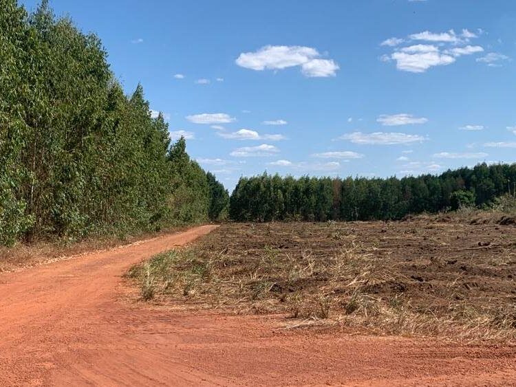 Fazenda à Fazenda em Parnarama - MA