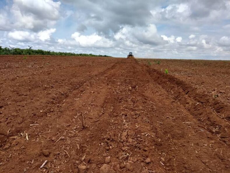 Venda Fazenda em Parnarama-MA (6)