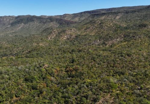 Reservas-a-venda-Monte-Alegre-de-Goias